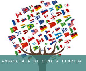 Ambasciata di Cina a Florida