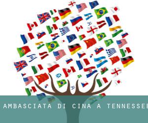 Ambasciata di Cina a Tennessee