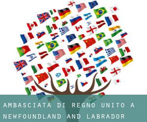 Ambasciata di Regno Unito a Newfoundland and Labrador