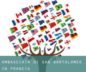 Ambasciata di San Bartolomeo in Francia