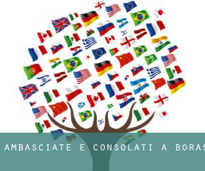 Ambasciate e Consolati a Borås